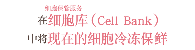 细胞保管服务 在细胞库(Cell Bank)中将现在的细胞冷冻保鲜